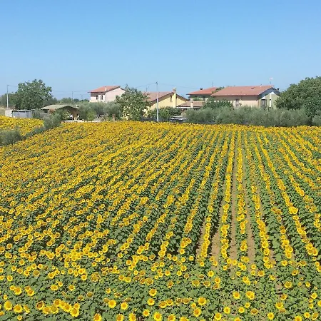 Belvilla By Oyo Sparsa Girasole Cortone