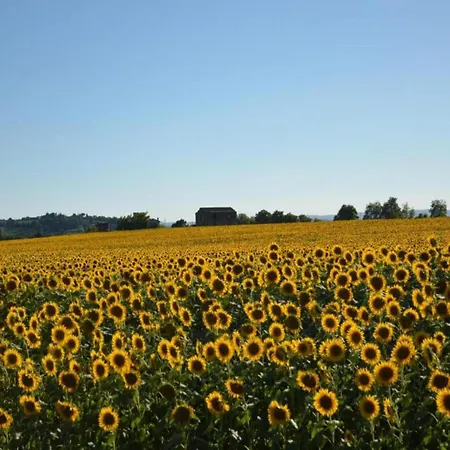 Hébergement de vacances Belvilla By Oyo Sparsa Girasole *